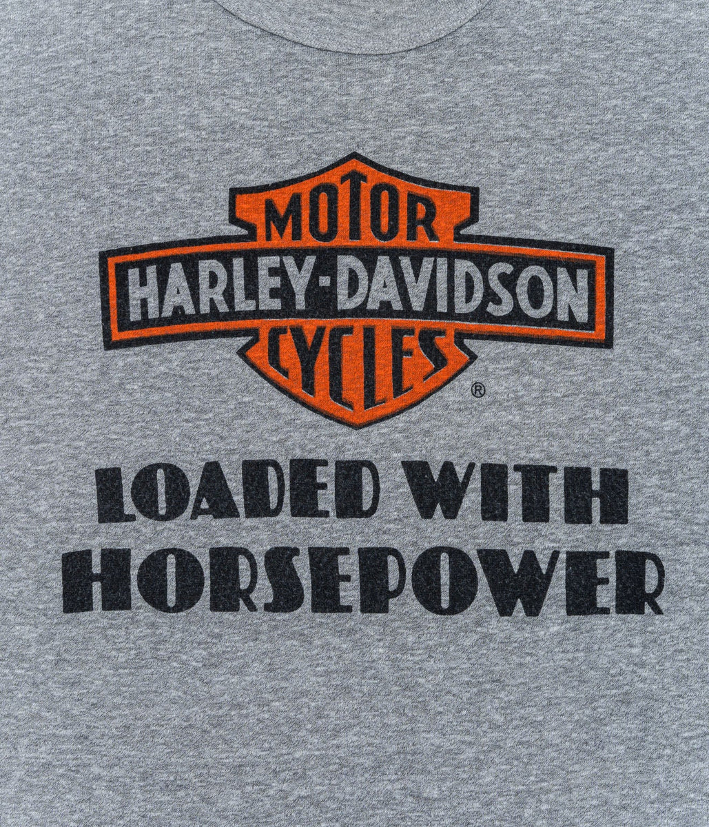 本命ギフト ビンテージ レア 70s チャンピオン Tシャツ HARLEY