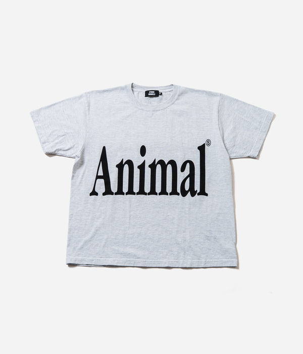 STUDIO ANIMALS “Animals Letter” T-Shirt Solid Print Ash