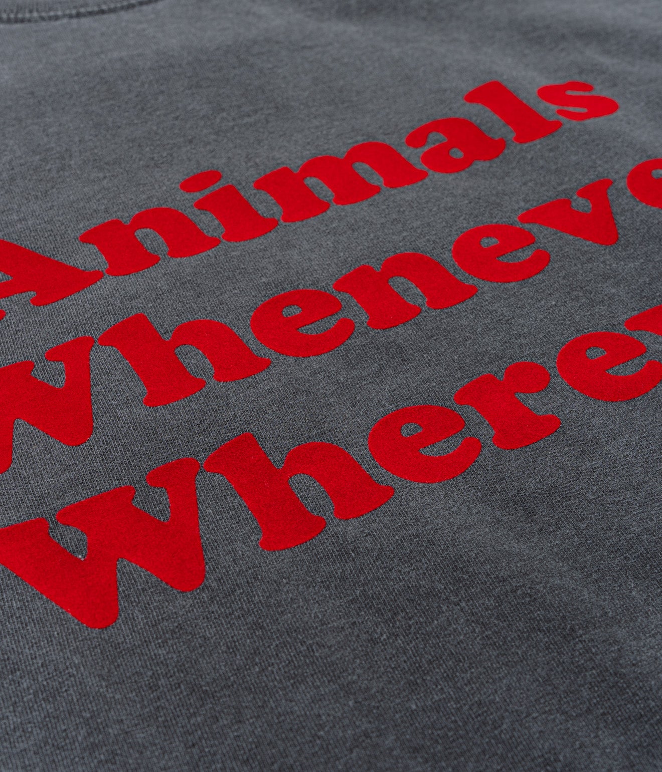 STUDIO ANIMALS "Whenever Wherever" T-SHIRT Faded Black