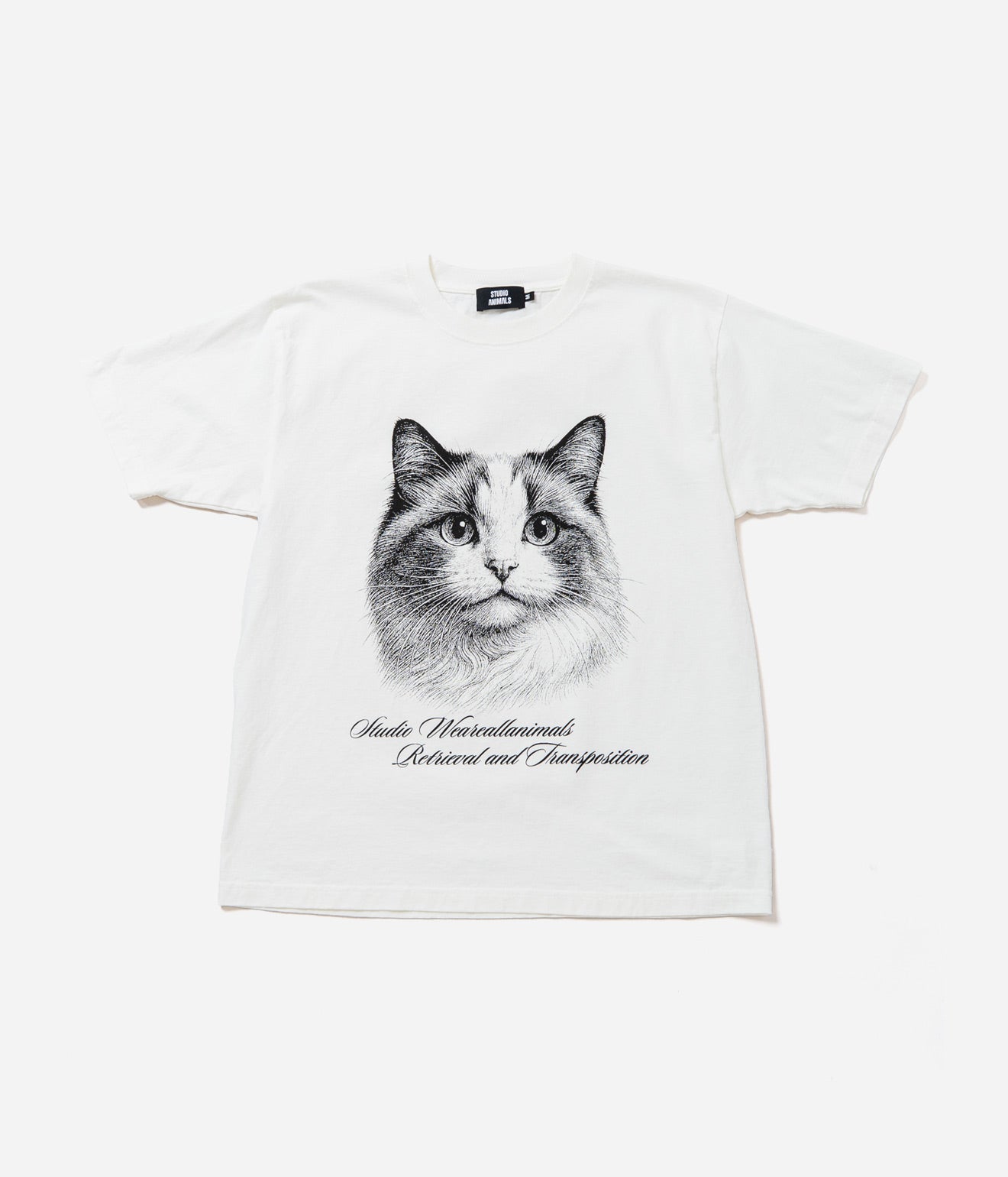 STUDIO ANIMALS “Cat” T-Shirt Natural
