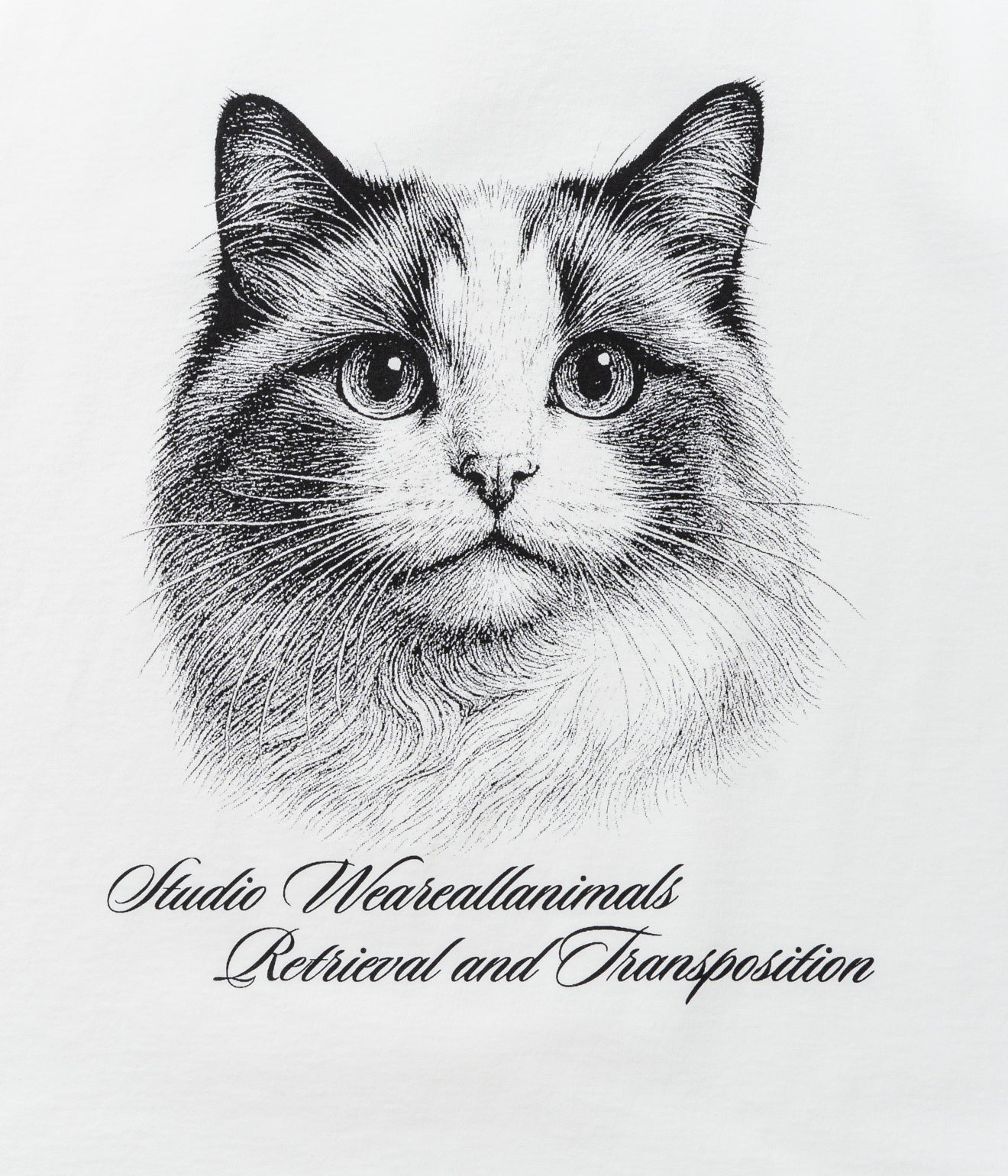 STUDIO ANIMALS “Cat” T-Shirt Natural