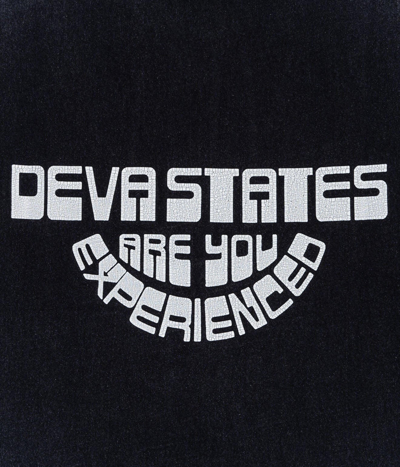 DEVÁ STATES "BUSTER T-Shirt" Washed Black - WEAREALLANIMALS