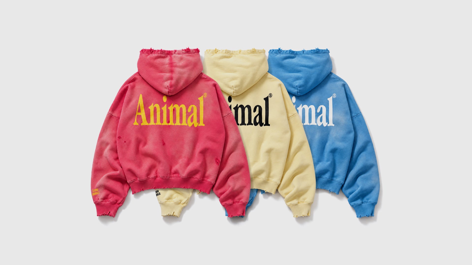 WEAREALLANIMALS
