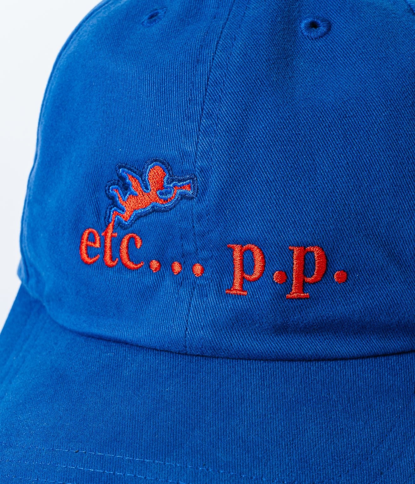 Public Possession "ETC PP" Cap - WEAREALLANIMALS