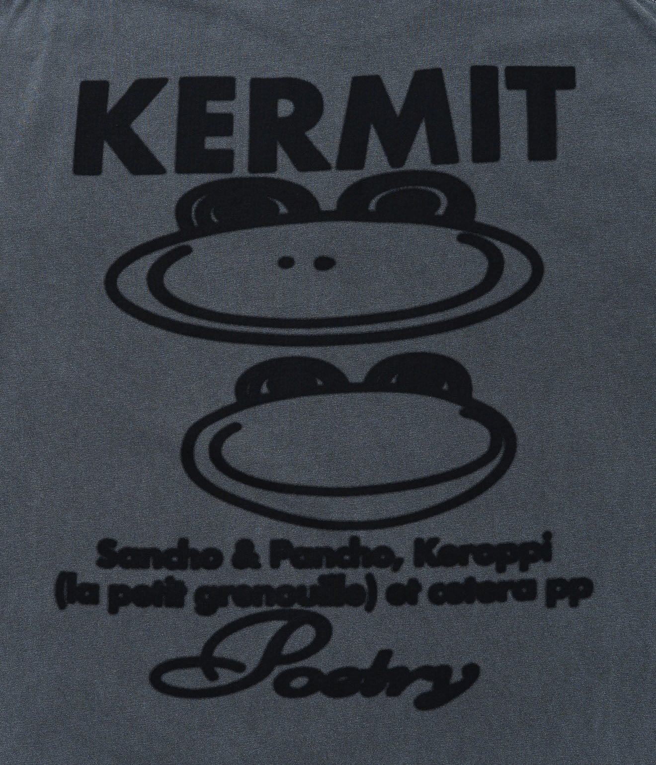 Public Possession "Poetry" T-Shirt Dark Grey - WEAREALLANIMALS