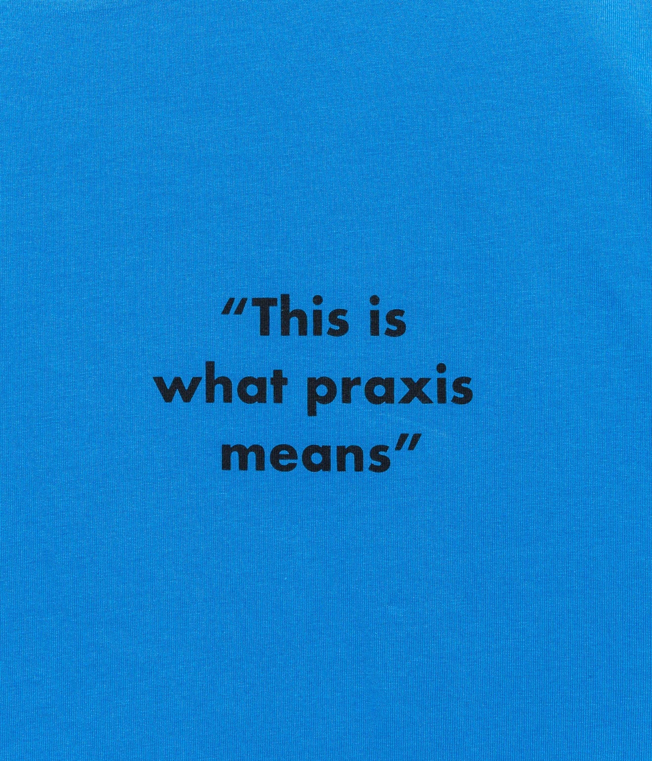 Public Possession "Praxis/Theorie" T-Shirt - WEAREALLANIMALS