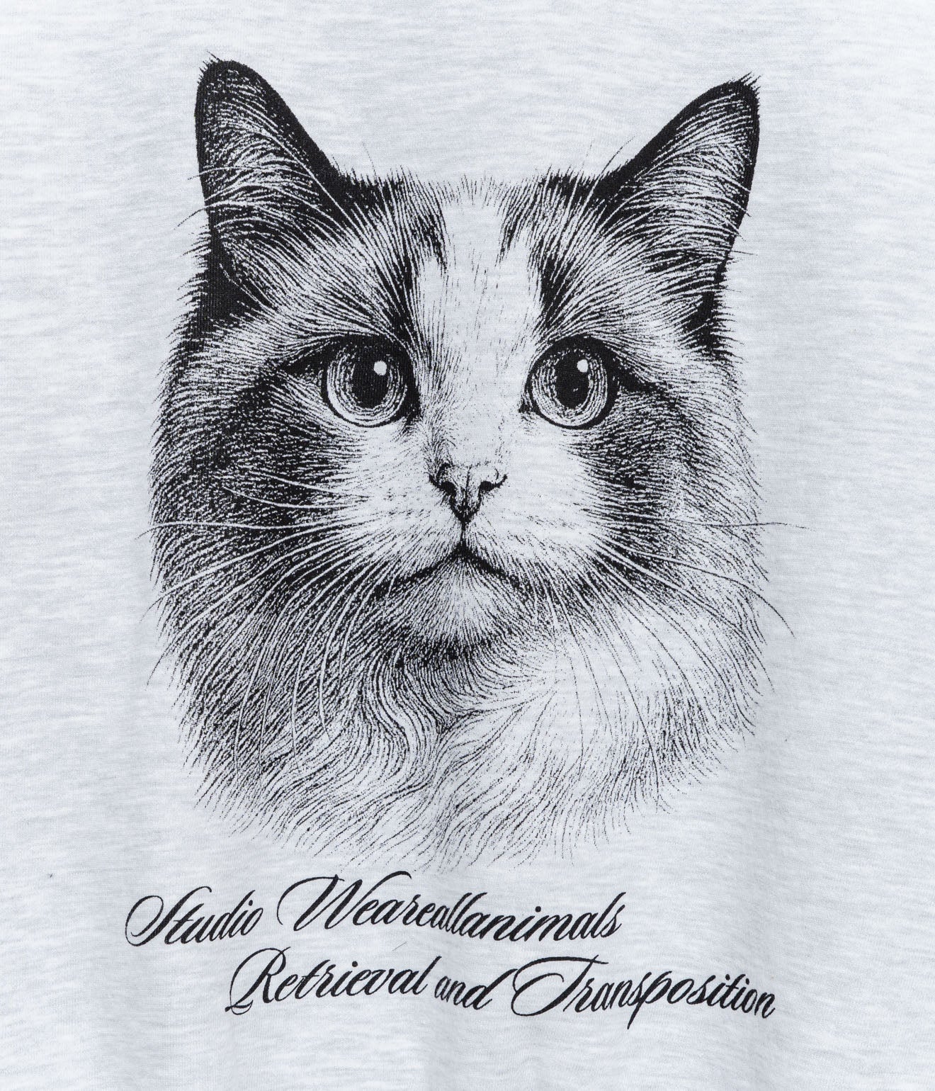 STUDIO ANIMALS “Cat” Sweatshirt Ash - WEAREALLANIMALS