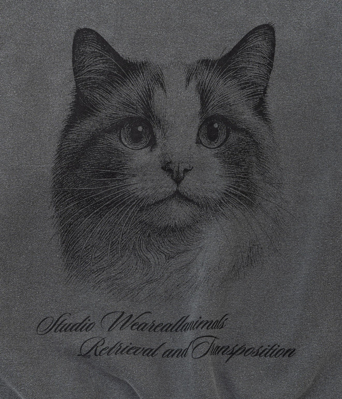 STUDIO ANIMALS "Cat" SWEATSHIRT FADED BLACK - WEAREALLANIMALS