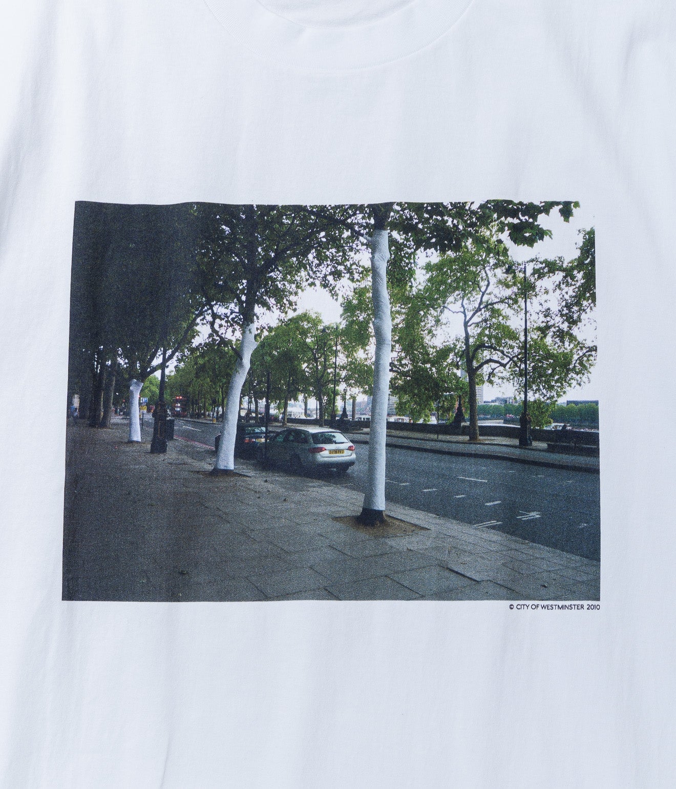 THE HACKLEBERRY "WHITE TREES" WHITE - WEAREALLANIMALS