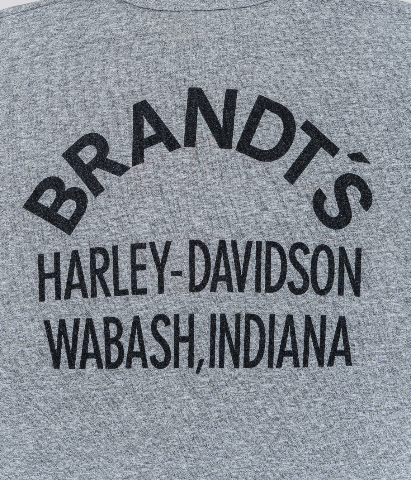 70's Champion "HARLEY DAVIDSON" T-SHIRT - WEAREALLANIMALS