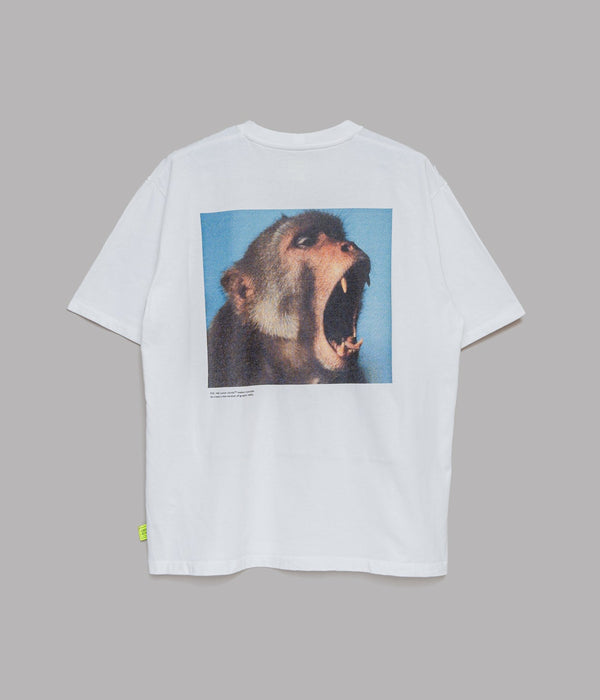 LOOSEJOINTS "ED DAVIS - 'Graphic Reality' S/S TEE" WHT - WEAREALLANIMALS